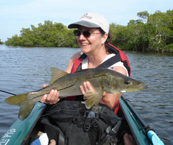 snook picture